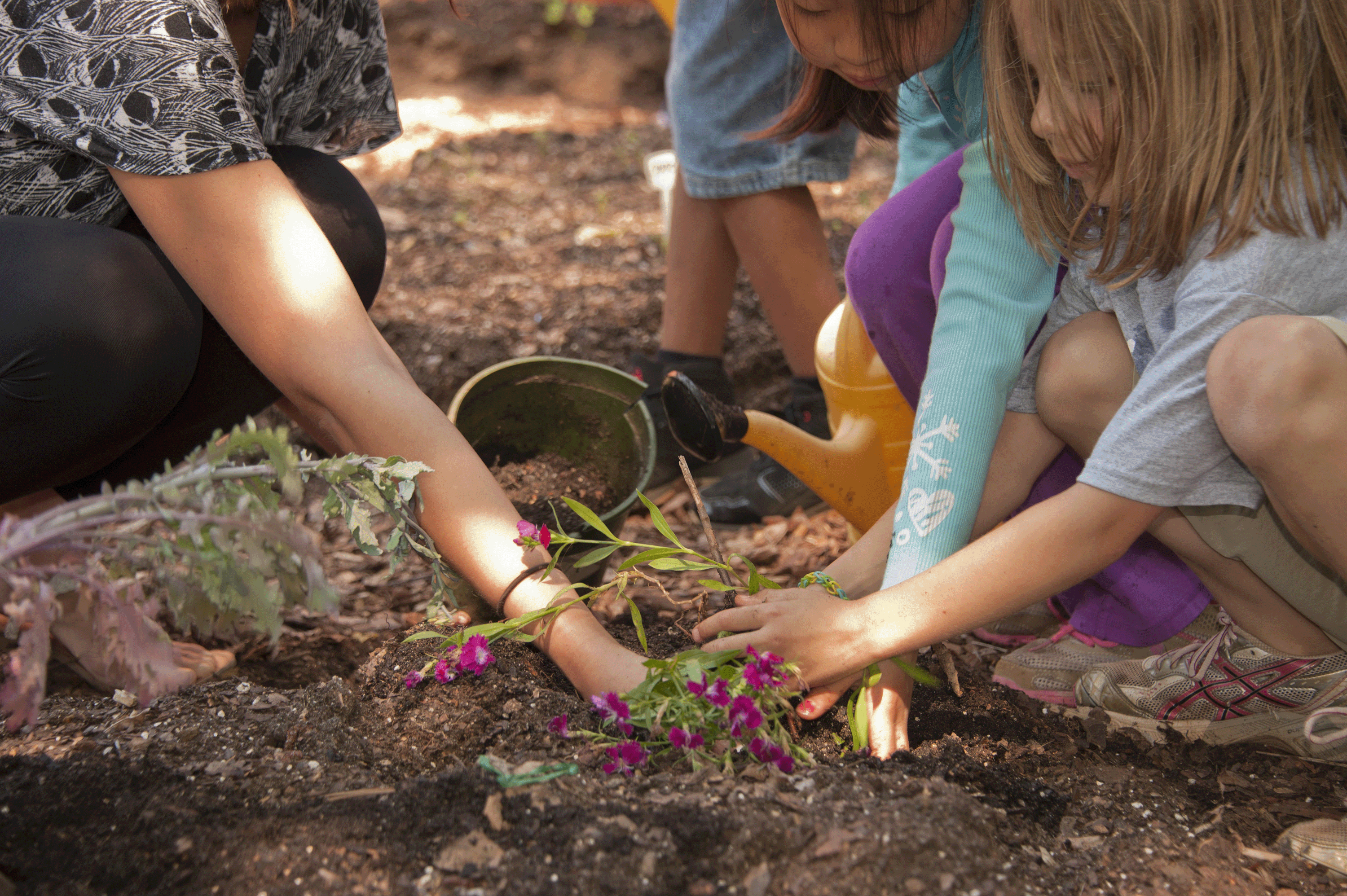 kids playing in garden