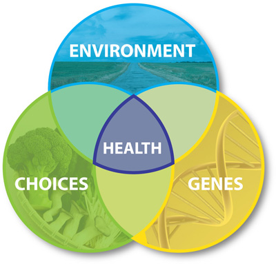 This graphic shows 3 overlapping circles in different colors. The blue is labeled with Environment, the green with choices, and the yellow with genes. They overlap in the center to create a purple area labeled health