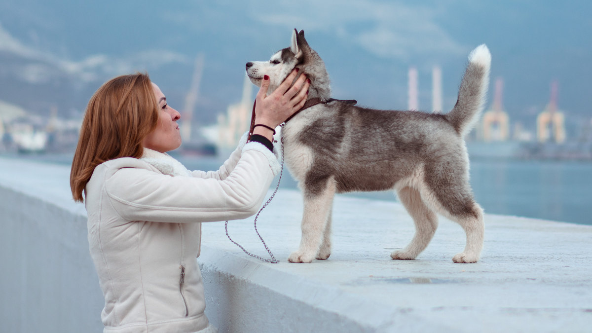 Lady with husky puppy