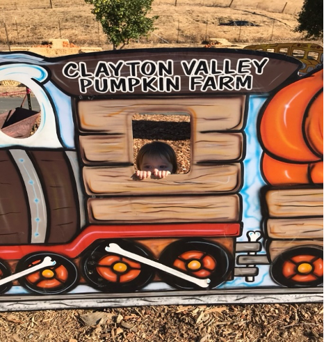 granddaughter at pumpkin patch