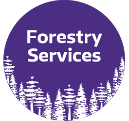 forestry services