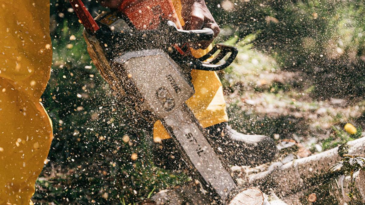 Forestry worker handling a chainsaw