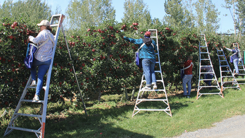 image of workers