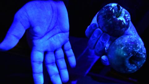 image of hands glowing in fluorescent light