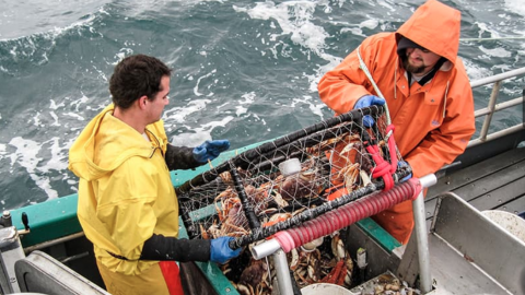 Image of crab fishermen