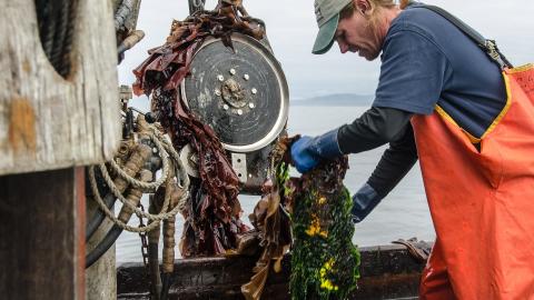 image of fisherman