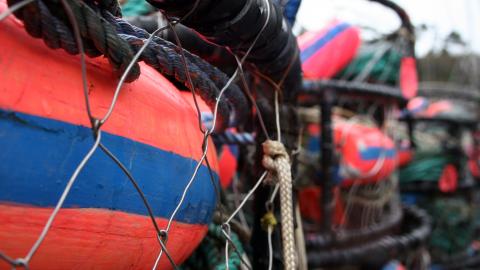 picture of buoys 