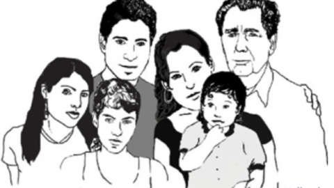 illustration of the family 