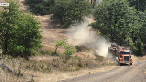 Fatigue and log truck driver safety