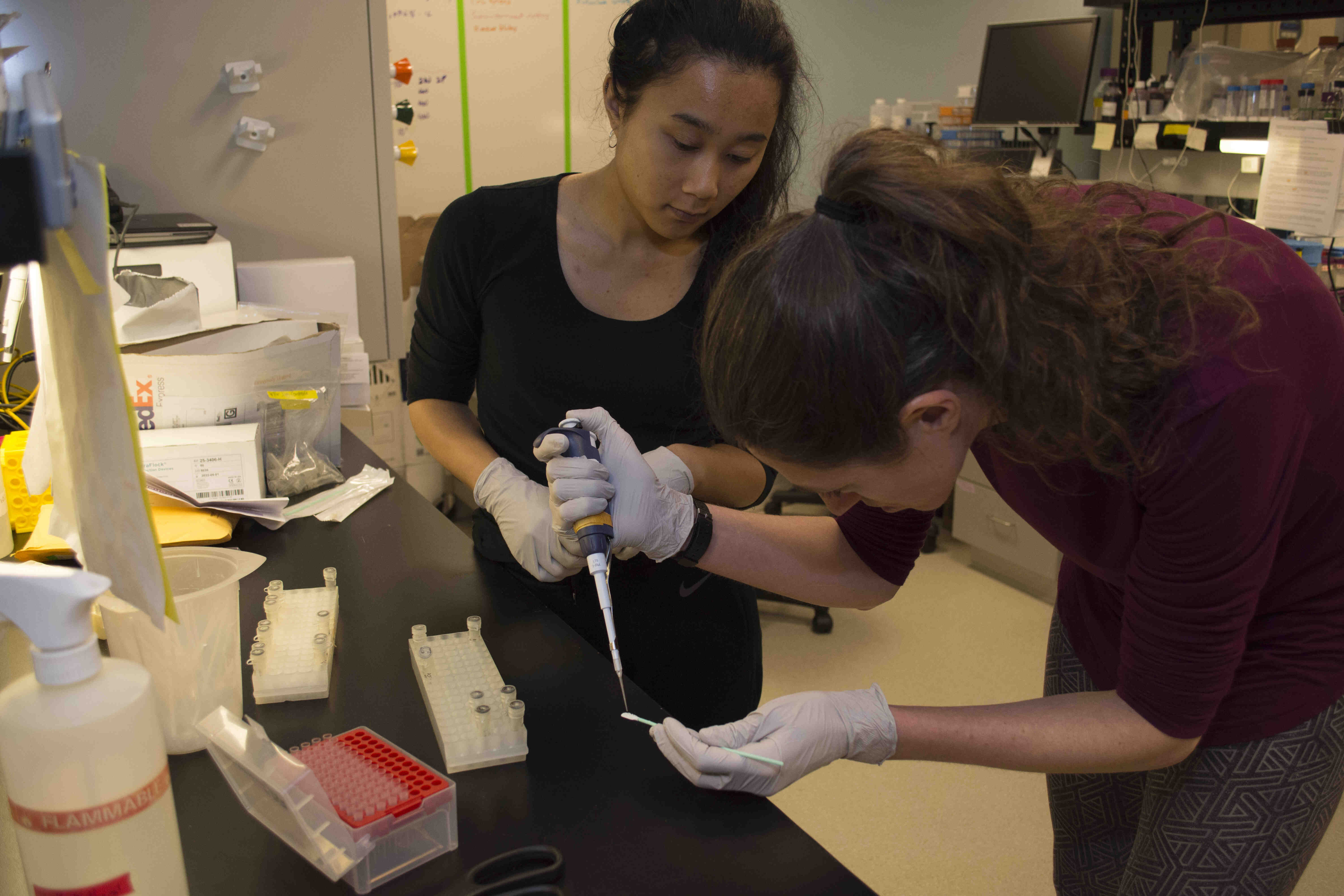 Two women testing samples