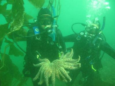 A woman scuba-diving holds a sea star underwater.