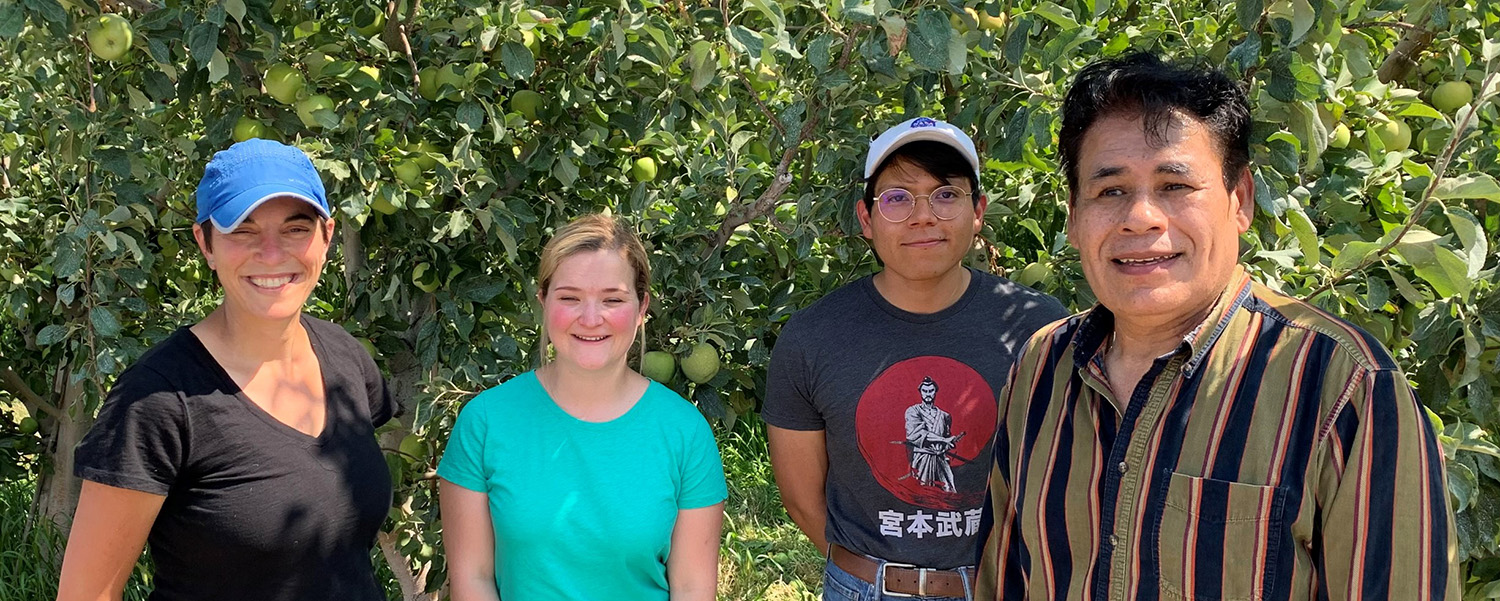 Four members of the research team stand in an apple orchard with apple trees behind them.