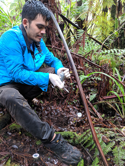 Tyler Gerken takes a soil sample in a Hawaiian forest.