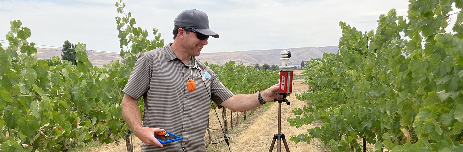 A man stands in a vineyard row in front of a temperature-monitoring device on a tripod.