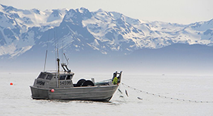 Most fishermen on the Copper River use a bowpicker boat. Photo: Copper River Prince William Sound Marketing Association.