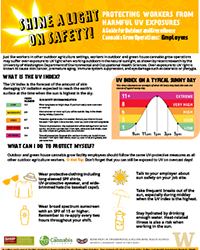 Shine a light on safety: UV safety factsheet.