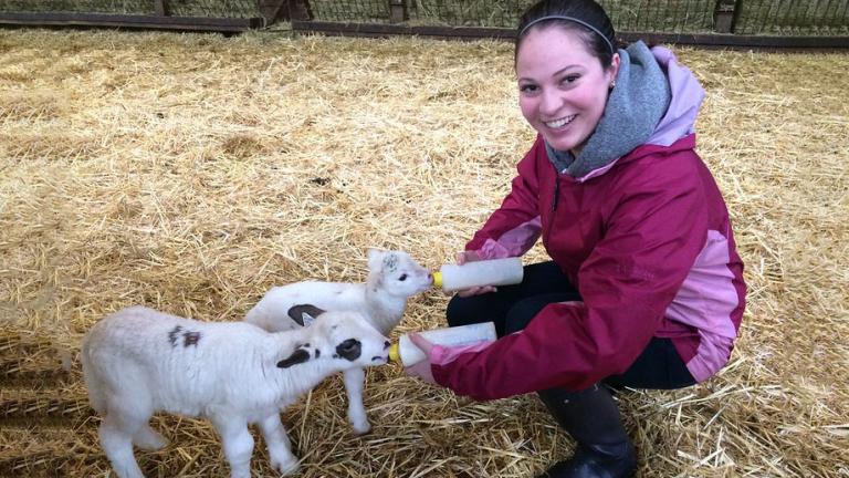 A woman smiles while bottle-feeding two white lambs.