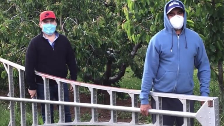 Two men in face masks carry a tall ladder standing six feet apart.