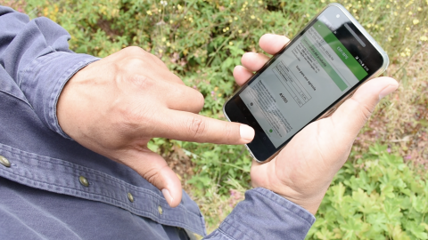 Close-up of man holding mobile phone.