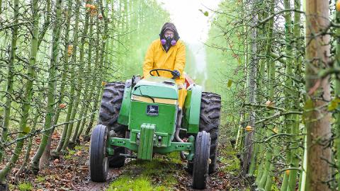 A man wearing an air mask drives a tractor through an orchard.