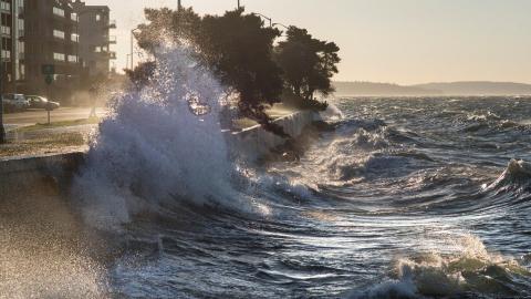 Waves on beach