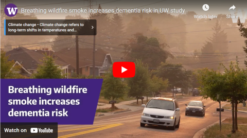 Screenshot of video showing cars driving through a residential area with smoky skies