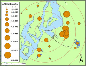 Arsenic availability in Urban Lakes