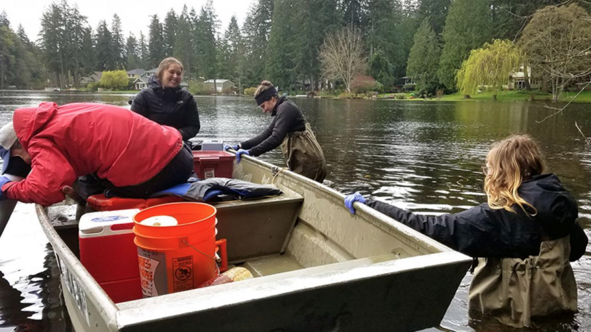 A research team with a boat in an urban lake fringed by trees and houses.